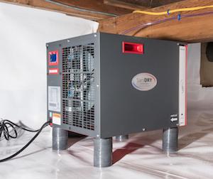 whole-home dehumidifier in crawl space