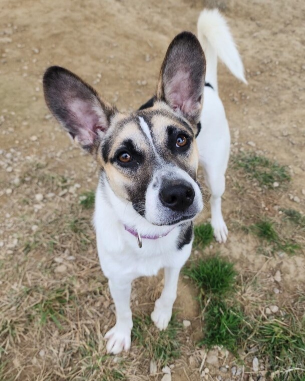Technician smiling next to an installed HVAC unit in a customer’s yard